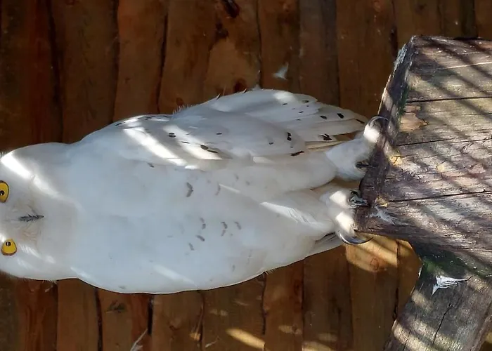 Appartement 3 Mikołajki